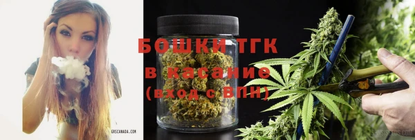 мет Алексин