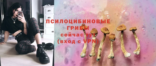 мет Алексин