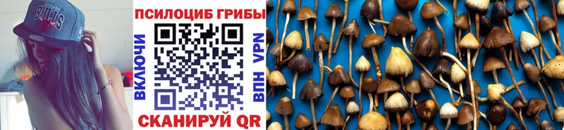 Галлюциногенные грибы мухоморы  наркота  Салехард 